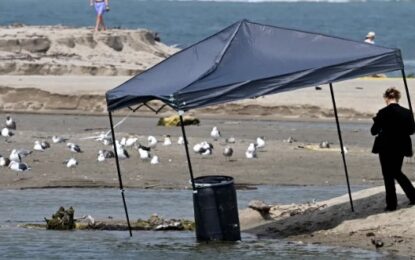 Horror en Malibú: encontraron un cadáver en un barril en una exclusiva playa frecuentada por ricos y famosos