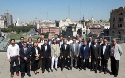 Brote de dengue en Argentina: el Gobierno reunió a todos los ministros de Salud