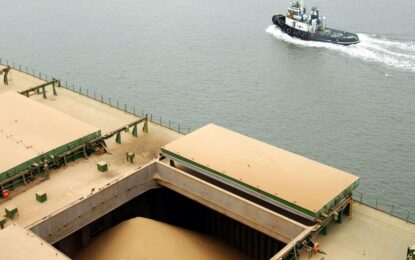De la mano de una mayor cosecha de soja y maíz, el ingreso de divisas por parte del agro superaría US$ 36.000 millones este año