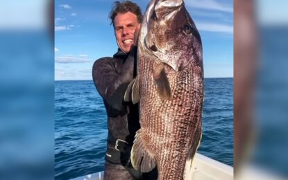Salió de pesca con sus amigos y fue atacado por un tiburón blanco: «Una tragedia inimaginable»