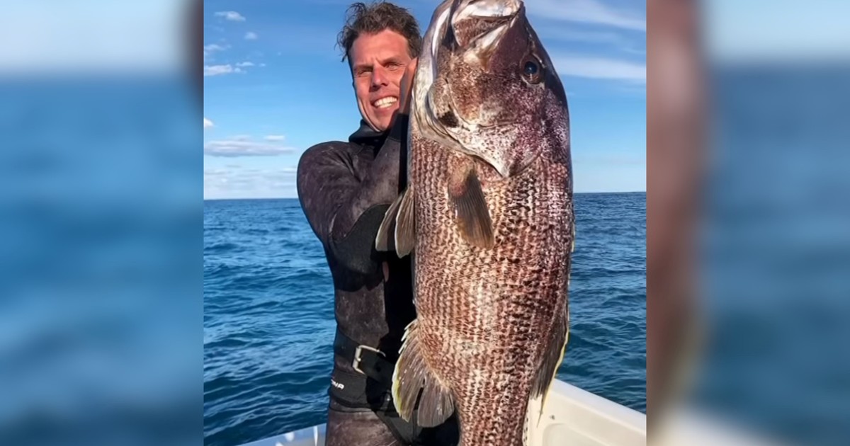 salio-de-pesca-con-sus-amigos-y-fue-atacado-por-un-tiburon-blanco:-«una-tragedia-inimaginable»