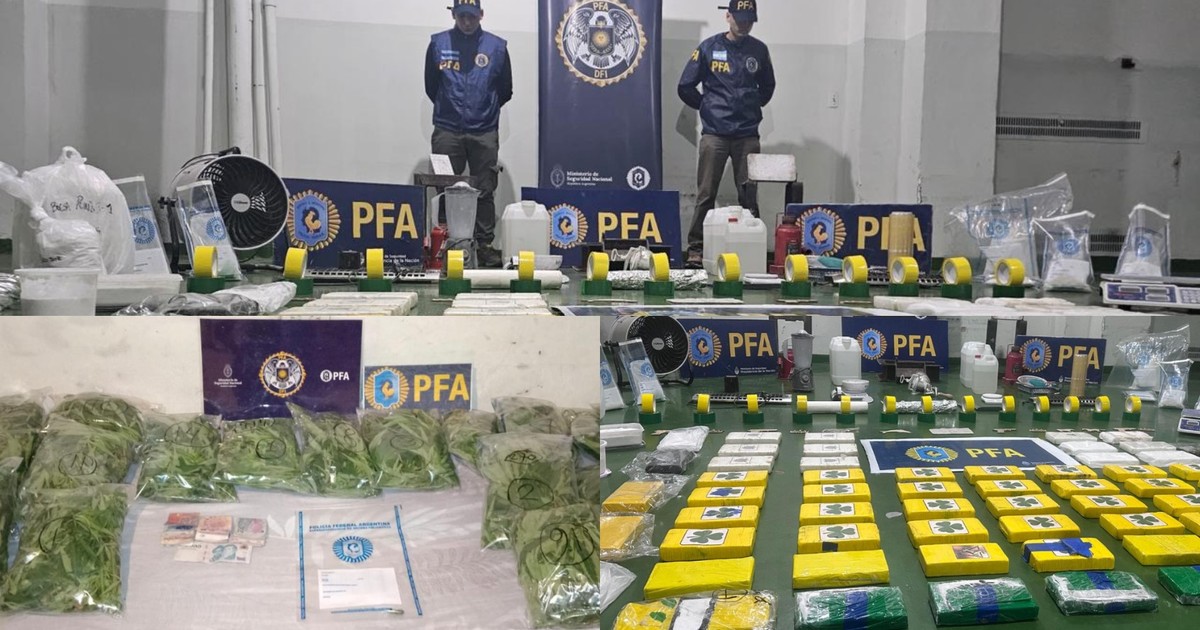 golpe-a-una-banda-con-un-laboratorio-narco-en-puerto-madero:-secuestraron-mas-de-70-kilos-de-cocaina-en-el-complejo-rodrigo-bueno