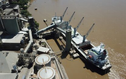 El campo aceleró la liquidación de divisas de la mano de la cosecha:  ingresaron casi US$ 2.700 millones
