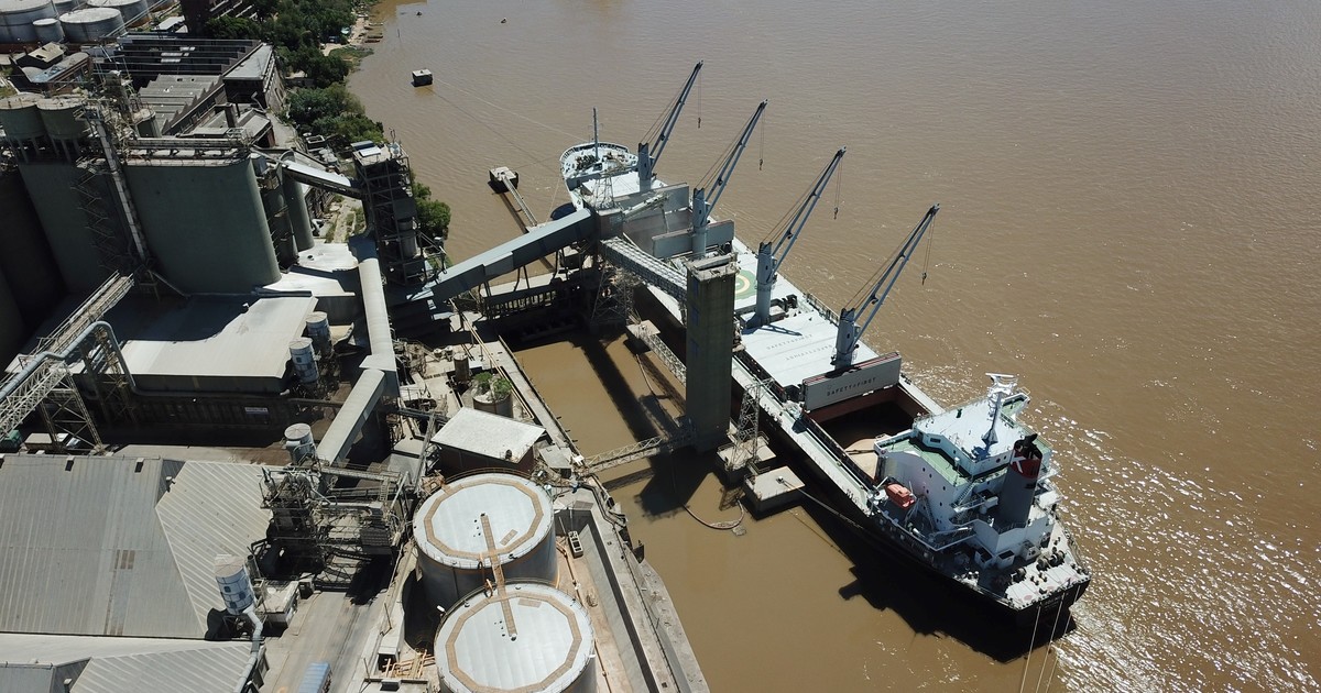 el-campo-acelero-la-liquidacion-de-divisas-de-la-mano-de-la-cosecha:-ingresaron-casi-us$-2.700-millones