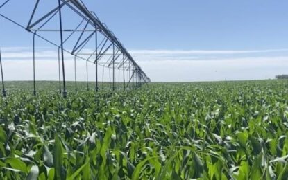 El Gobierno oficializó los bienes agropecuarios que ingresan en el RIMI sin necesidad de una inversión mínima