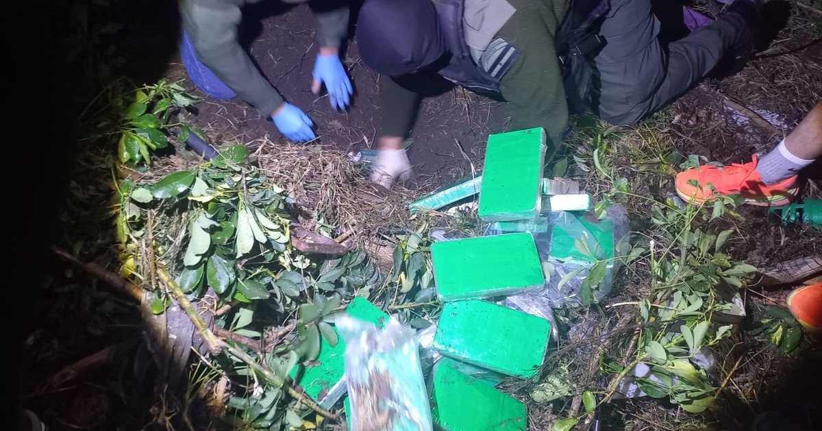 el-agudo-olfato-de-gretel:-la-perra-labradora-que-encontro-la-pista-de-58-kilos-de-cocaina-enterrados-en-un-jardin
