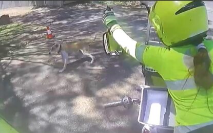 Australia equipó a sus carteros con un aerosol especial tras un récord de ataques de perros