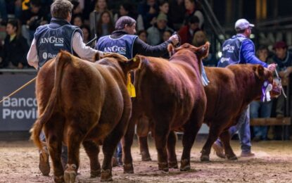 La interna de la Rural anticipa un duro cruce en la exposición de Palermo