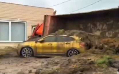 Un camión repleto de estiércol volcó todo su contenido sobre un BMW dorado