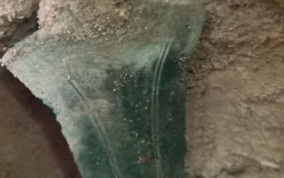 Un hombre encontró en un bosque una espada de más de 2700 años de antigüedad: «Me costó un rato asimilarlo y pensar con calma»