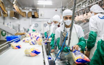 Maquinaria usada: el Gobierno baja el costo y simplifica la importación de líneas de producción