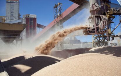 «Un paso muy grande para la industria nacional»: revelan que la proteína de soja argentina tiene el mejor perfil del mercado