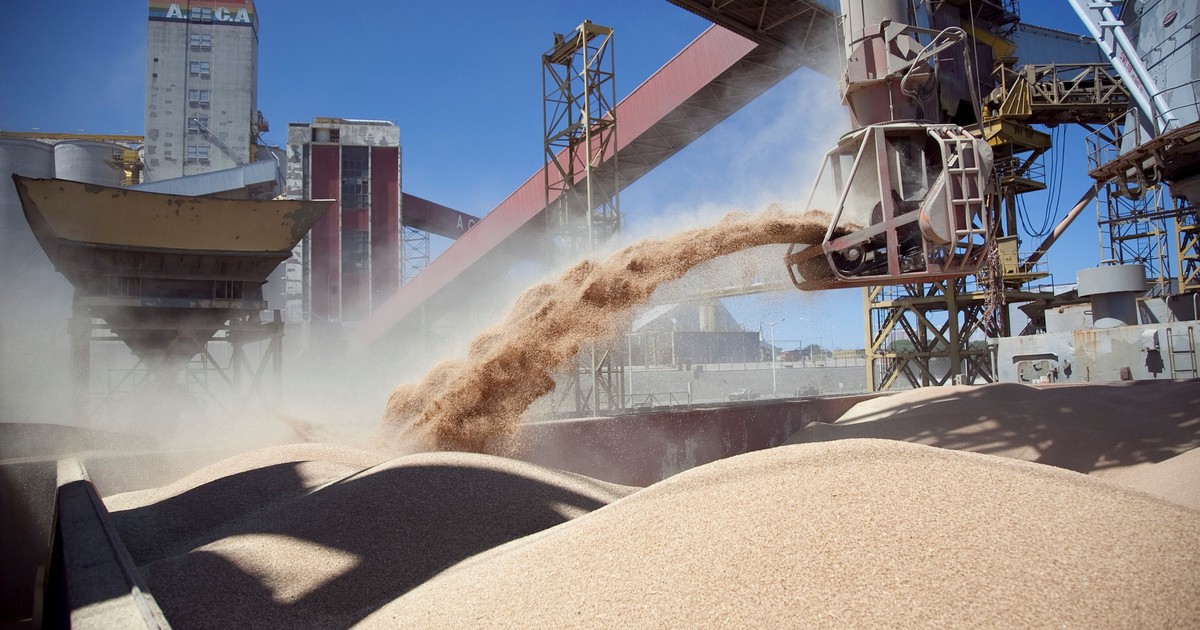«un-paso-muy-grande-para-la-industria-nacional»:-revelan-que-la-proteina-de-soja-argentina-tiene-el-mejor-perfil-del-mercado