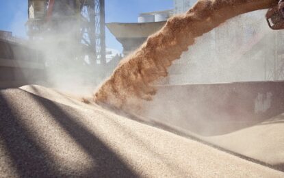 La liquidación de divisas por parte del agro creció 12% mensual en junio, aunque el acumulado del primer semestre cerró 13% abajo