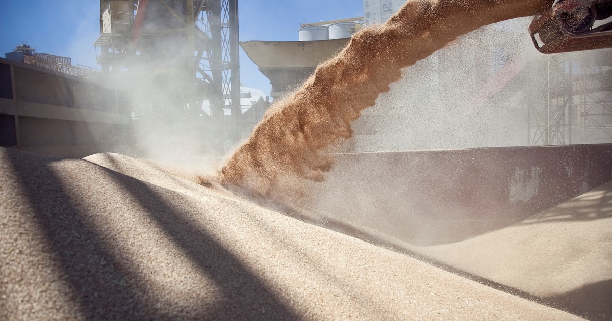 la-liquidacion-de-divisas-por-parte-del-agro-crecio-12%-mensual-en-junio,-aunque-el-acumulado-del-primer-semestre-cerro-13%-abajo