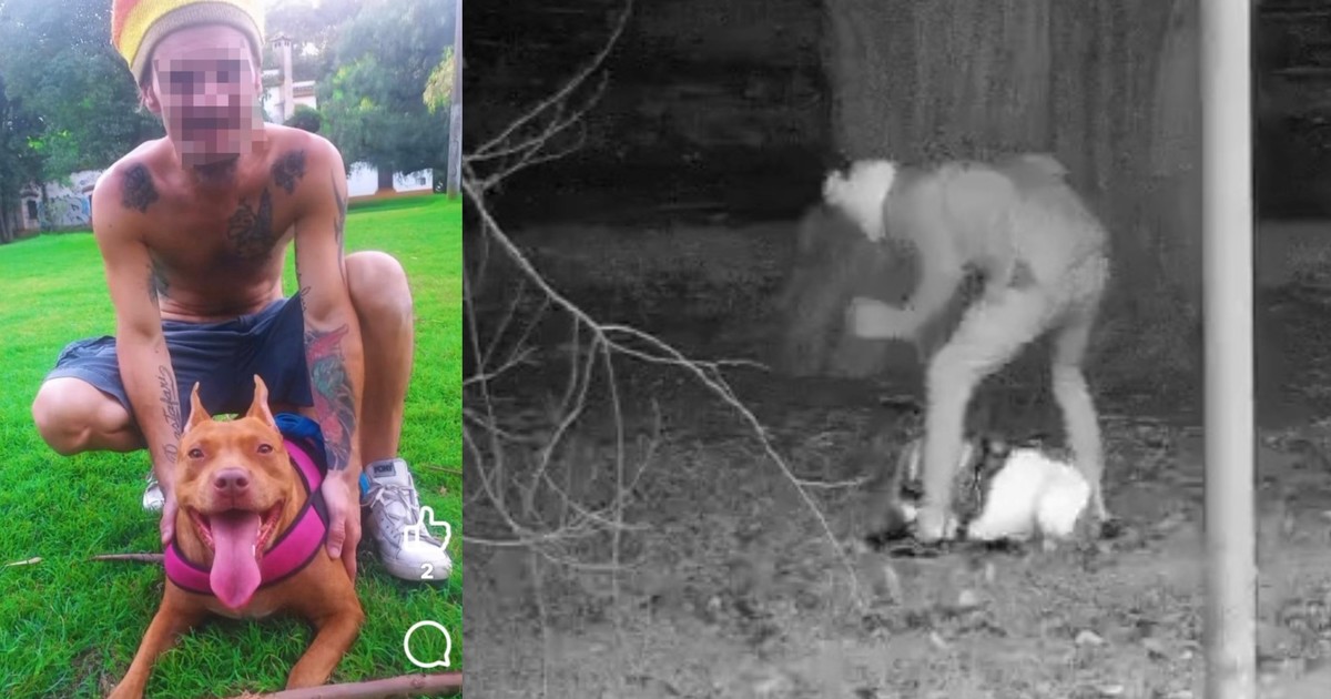 se-mostraba-como-un-influencer-amigo-de-los-animales-y-fue-grabado-golpeando-salvajemente-a-sus-perros