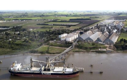 «Medida inédita»: el Parlamento Europeo sacó de la lista negra al biodiesel de soja y la industria argentina respira