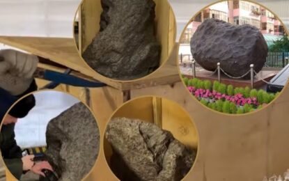 Parecía una simple decoración para el jardín, pero era una pieza del origen del sistema solar