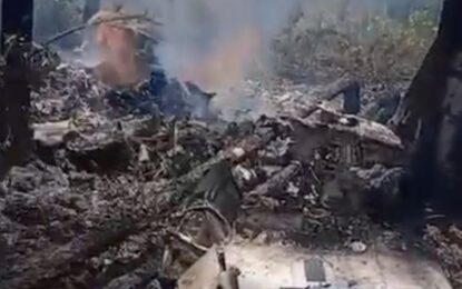 Una avioneta se estrelló en las Bahamas: al menos diez muertos y dudas por un incidente previo
