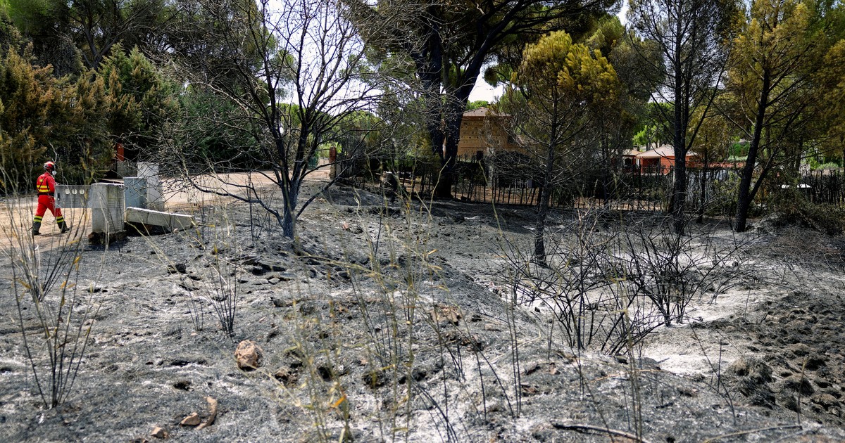 evacuan-a-3.500-personas-de-pueblo-a-60-kilometros-m-de-madrid-por-un-incendio-forestal