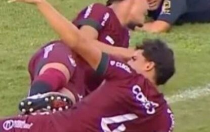 Un sorpresivo ataque de abejas interrumpió y obligó a suspender una final de fútbol en Brasil
