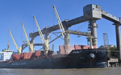 La liquidación de divisas por parte del agro bajó 3% en julio y en lo que va del año acumula una caída del 16%
