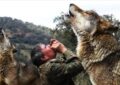 Murió a los 80 años Marcos Rodríguez, el hombre que de niño fue criado por lobos