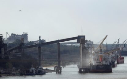 La Cámara de Exportadores proyecta un récord de US$ 103 millones y debatirá el futuro del sector con Luis Caputo y Pablo Quirno