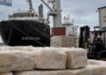“Un volumen inimaginable”: un subproducto de la carne se convirtió en la nueva estrella del sector y multiplicó sus exportaciones por 20 en la última década