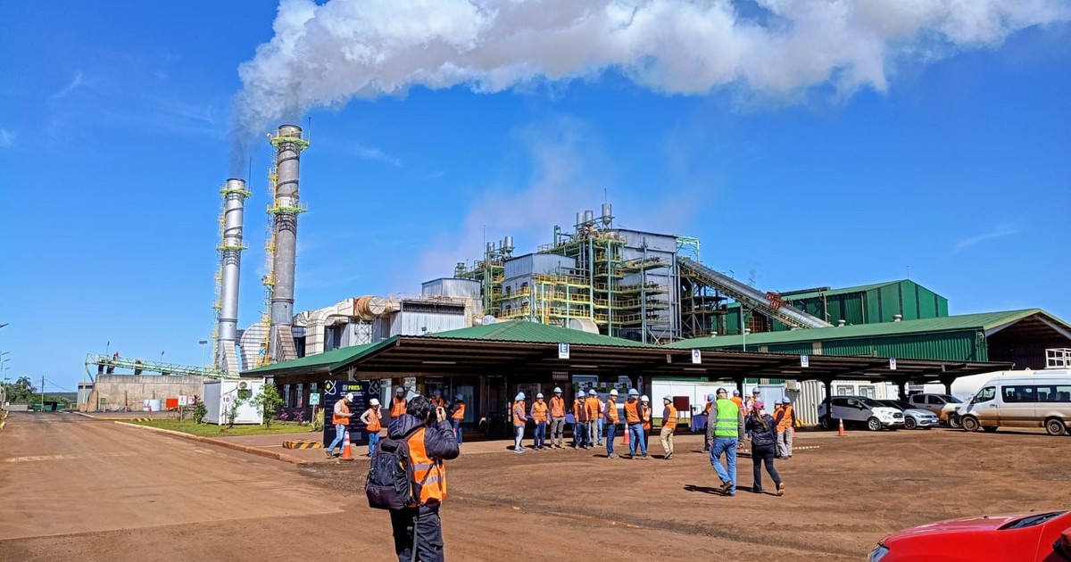 las-exportaciones-siguen-en-alza:-crecieron-12,4%-en-agosto-y-acumulan-us$-us$-67.248-millones-en-lo-que-va-del-ano