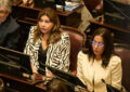 En medio de las críticas al proyecto oficial, el Senado debate la creación de una comisión por Malvinas