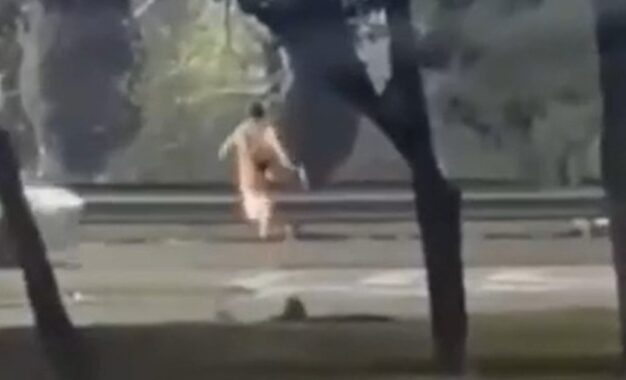 Un adolescente de 13 años fue atropellado mientras cruzaba corriendo una autopista: investigan si había cometido un robo