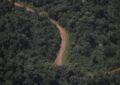 Una provincia que tiene el 90% de su línea limítrofe con otros países fue a la Justicia para frenar la venta sin limitaciones de tierras a extranjeros