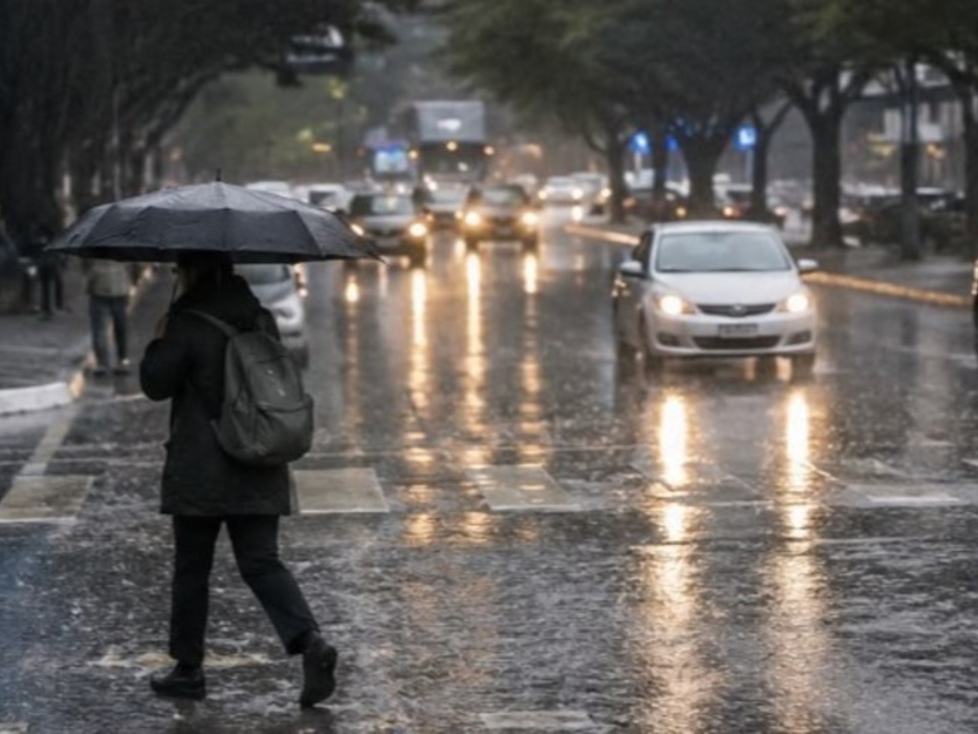 Alerta climática de la ONU: El Niño se intensificará en las próximas semanas y anticiparon cuando será su máximo pico