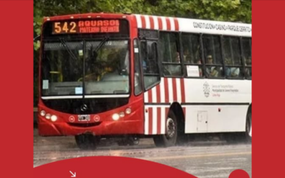 Chofer armado y sin licencia manejaba colectivo en Mar del Plata