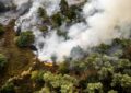 Los gases de efecto invernadero marcaron un nuevo récord y la ONU advierte por el impacto de El Niño
