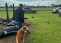 Un rayo mató a cuatro yeguas de polo durante una práctica en el Jockey Club de San Isidro