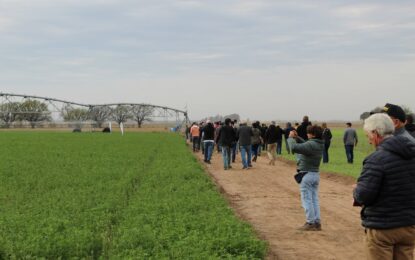 El campo confía en el futuro, pero frena inversiones por la incertidumbre electoral de 2027