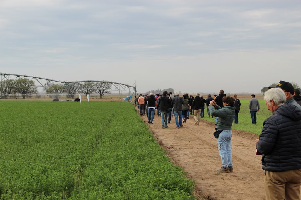 Productores, técnicos y especialistas recorren ensayos de riego en el INTA Manfredi durante jornadas de actualización en campo