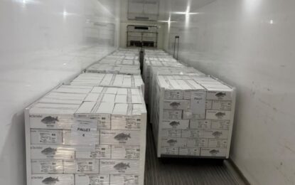 El pacú del Chaco llega a Estados Unidos: el SENASA certificó un envío de más de 8,6 toneladas